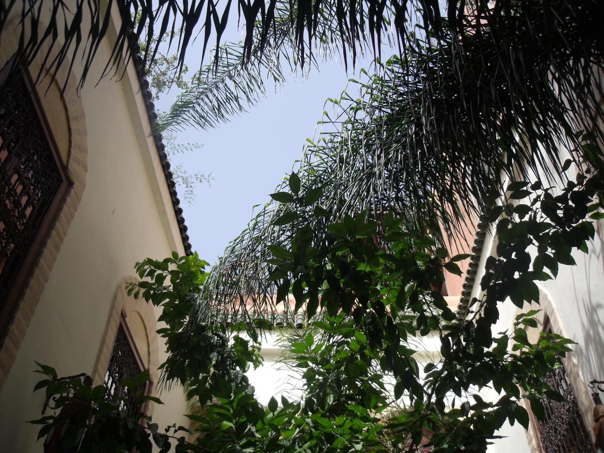 Riad Itrane มาร์ราเกช ภายนอก รูปภาพ